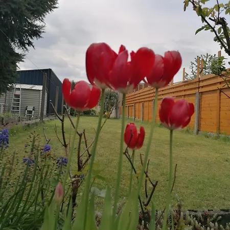 Alloggio in famiglia Près De L'aéroport De